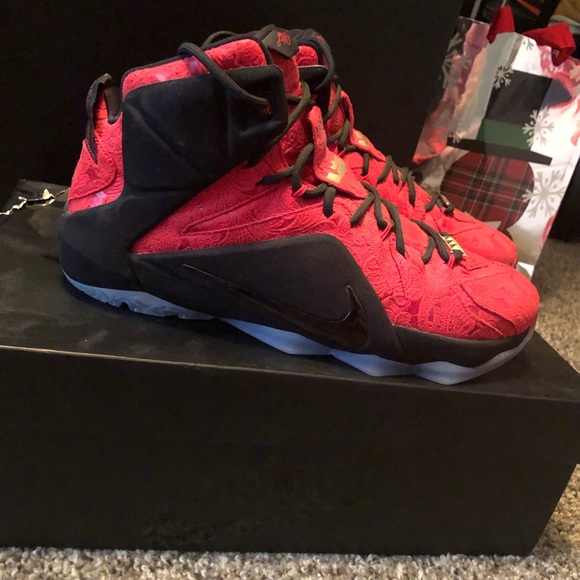 lebron 12 kings cloak